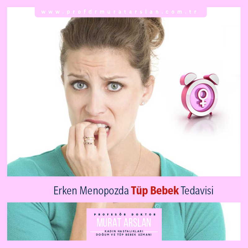 IVF Treatment in Early Menopause
