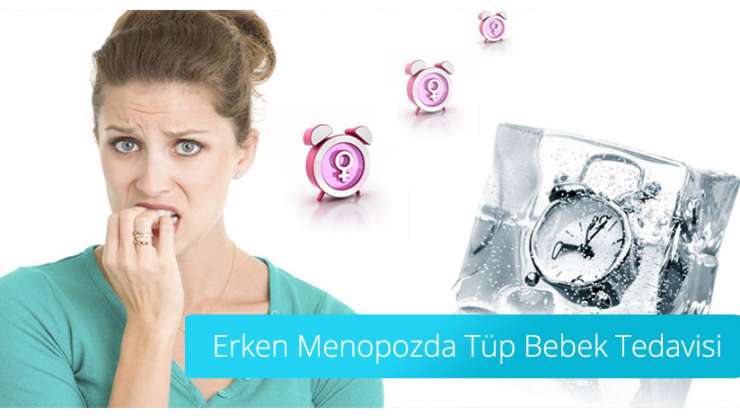 IVF Treatment in Early Menopause