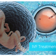 IVF Treatment Process