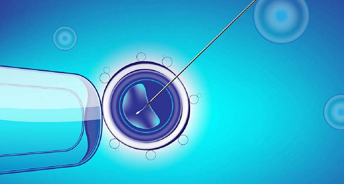 Embryologie-Labor