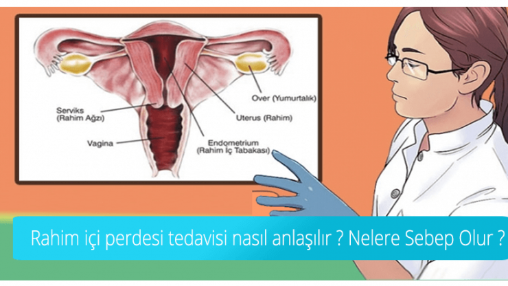 Uterusseptum (Gebärmutterscheidewand): Ursachen, Risiken und Behandlung