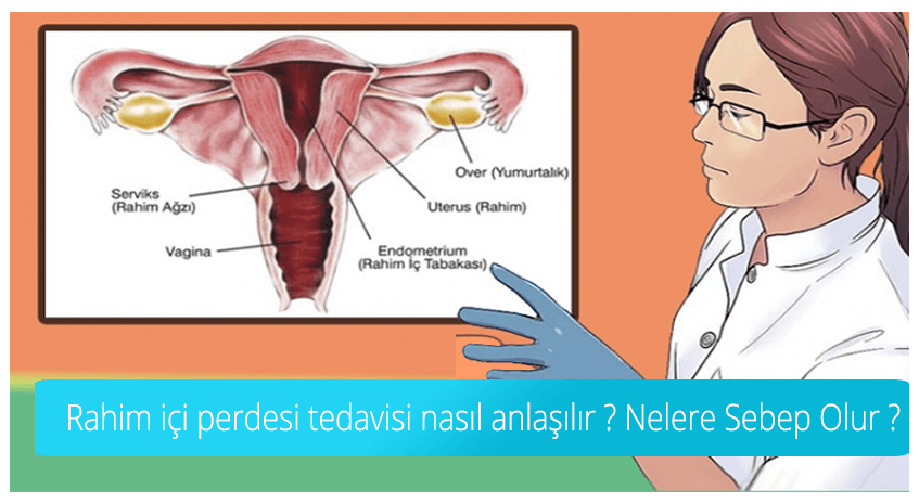 Uterusseptum (Gebärmutterscheidewand): Ursachen, Risiken und Behandlung