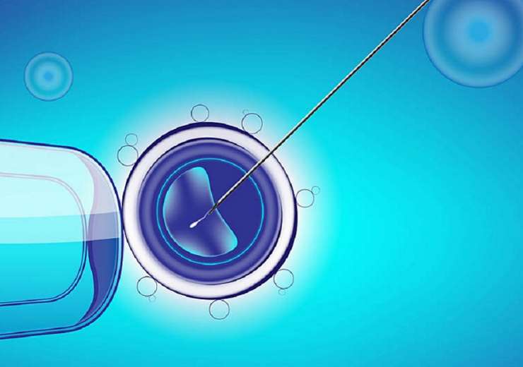 Embryology Laboratory
