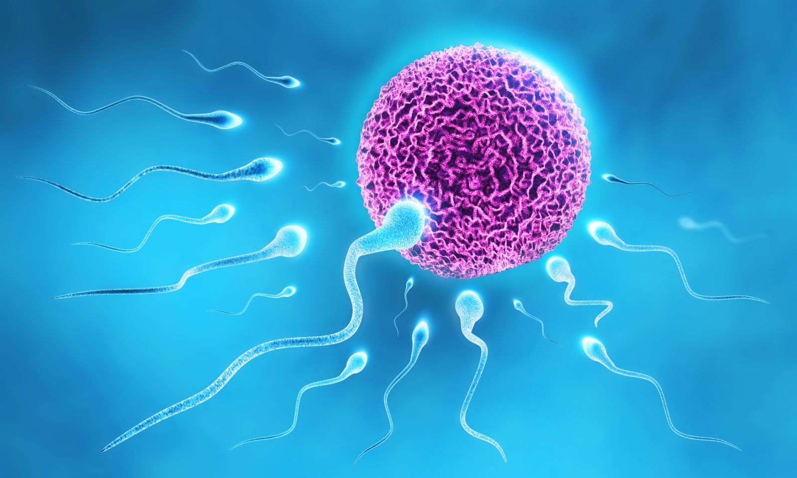 CAUSES OF INFERTILITY IN MEN
