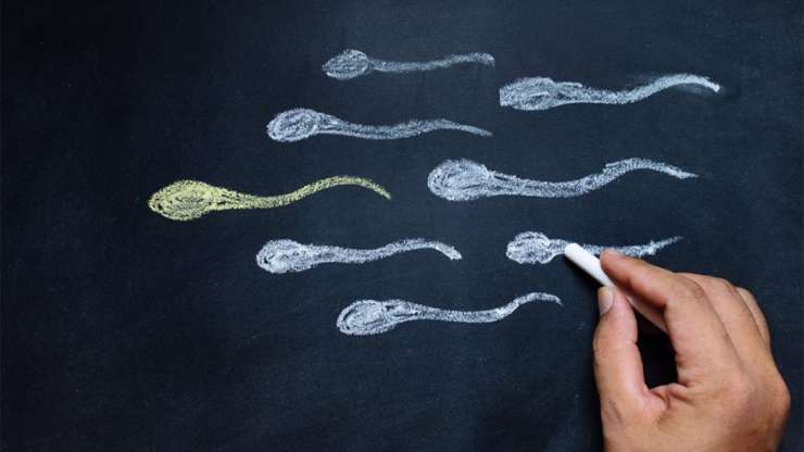 Sperm test  (Spermiogram) What is, How to analyze?