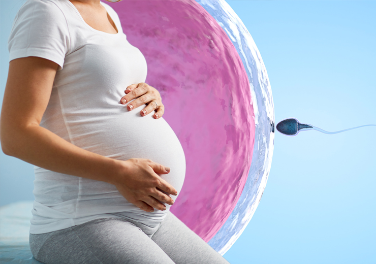 Diagnostic et traitement de l’infertilité