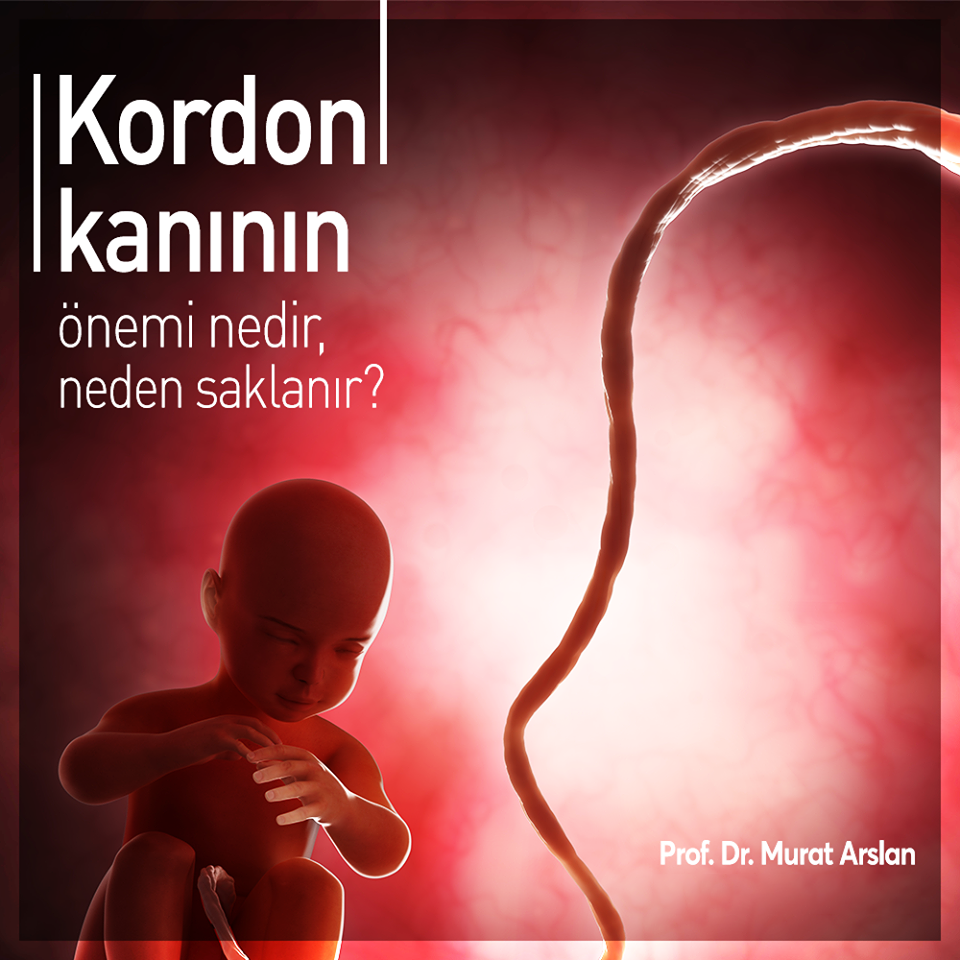 Kordon kanının önemi nedir, neden saklanır?