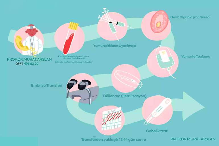 Tüp Bebek Tedavi Aşamaları İstanbul Tüp Bebek Merkezi